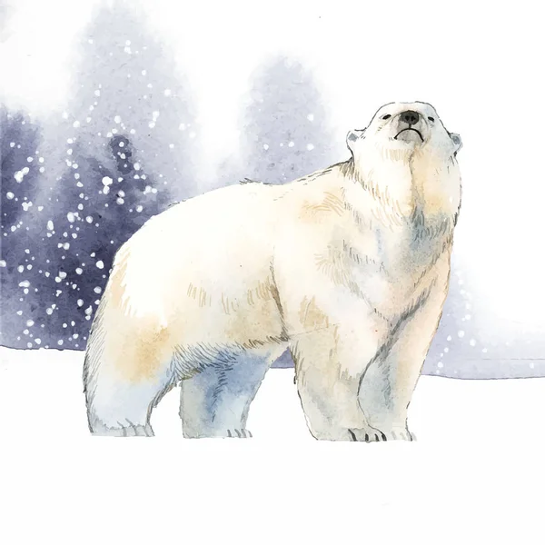 Urso Polar Desenhado Mão Vetor Estilo Aquarela Neve —  Vetores de Stock