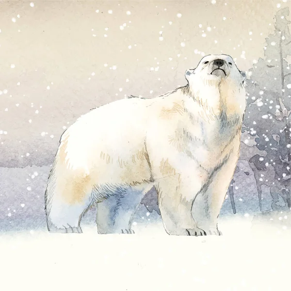 Ours Polaire Dessiné Main Dans Vecteur Style Aquarelle Neige — Image vectorielle