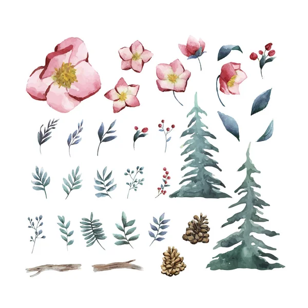 Ακουαρέλα Σετ Χειμερινά Λουλούδια Και Φύλλα Διάνυσμα — Διανυσματικό Αρχείο