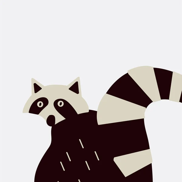 Smart Wildlife Raccoon Vector Graphics — Stock Vector