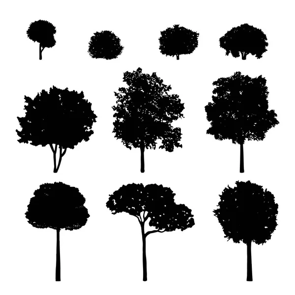 Design Illustration Olika Träd — Stock vektor