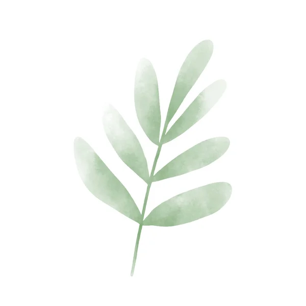 나뭇잎 디자인의 수채화 그래픽 — 스톡 벡터