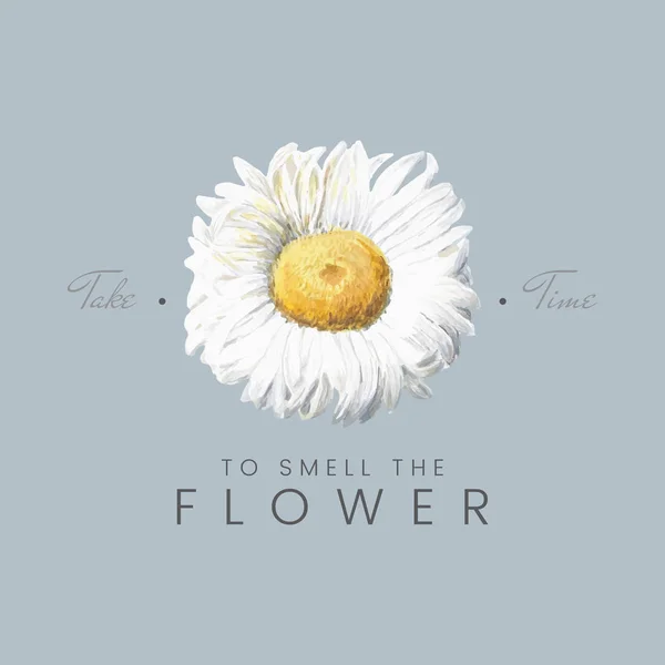 Знайдіть Час Щоб Запах Квітка Білими Нової Зеландії Гора Дейзі — стоковий вектор