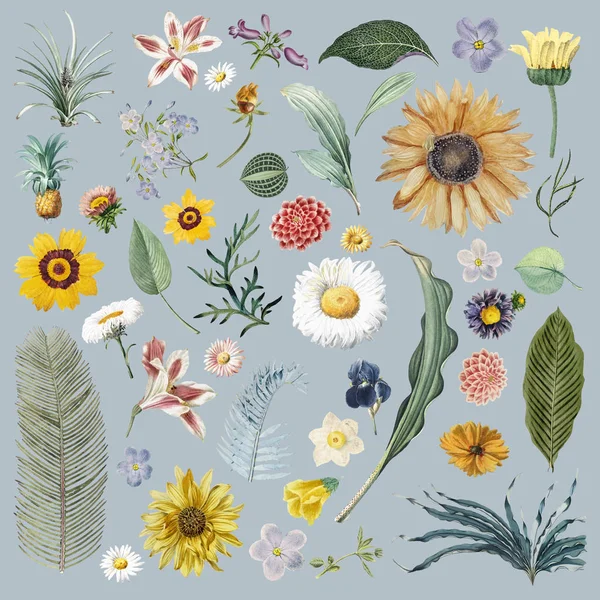 Set Van Prachtig Beschilderde Bloemen — Stockvector