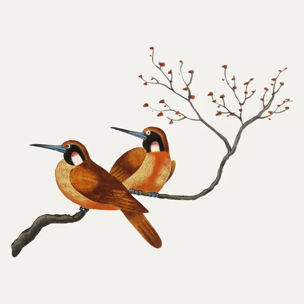 Chinesisches Gemälde Mit Zwei Vögeln Auf Einem Blühenden Ast — Stockvektor