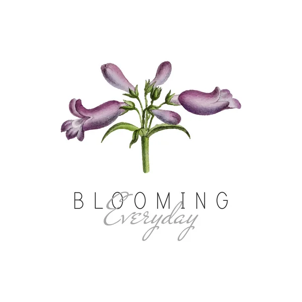 Floração Citação Diária Com Broadleaf Penstemon Vetor Flores — Vetor de Stock