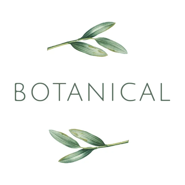 Grüner Botanischer Logo Design Vektor — Stockvektor