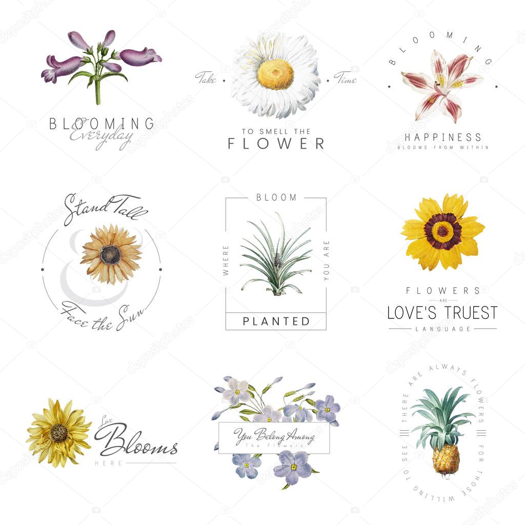 Hand drawn flowers with positive quotes vector set