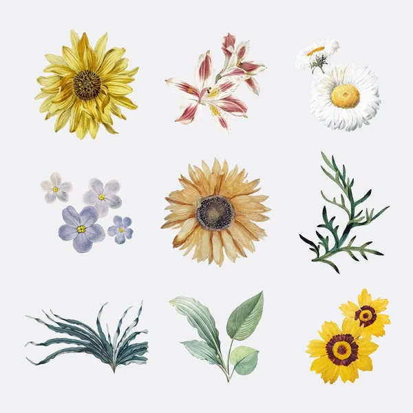 Set Van Prachtig Beschilderde Bloemen — Stockvector