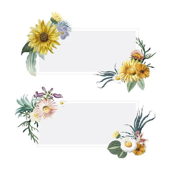 Set Van Bloemen Omlijst Banner Vectoren — Stockvector