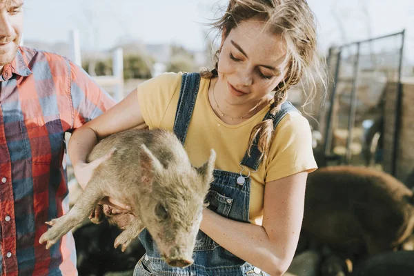 Paar Vrijwilligerswerk Bij Een Heiligdom Voor Varkens — Stockfoto