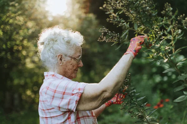 Senior Mulher Cuidando Das Flores Seu Jardim — Fotografia de Stock