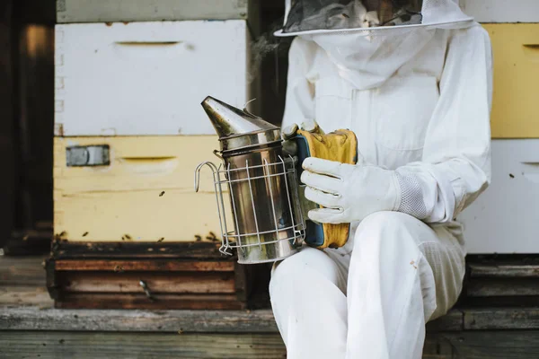 Beekeeper Smoker Her Bee Hives — Stock Photo, Image