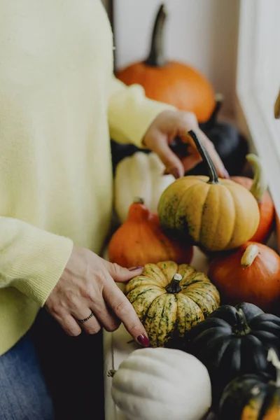 Woman Decorating Her House Pumpkins Squashes — Stock Photo, Image