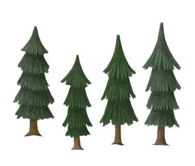 Beyaz bir arka plan üzerinde çizilmiş çam ağaçları