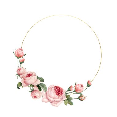 Boş yuvarlak pembe gül beyaz arka plan üzerinde vektör çerçeve