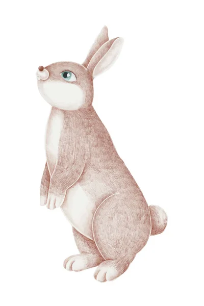 Coniglio Rosa Disegnato Mano Sfondo Bianco — Vettoriale Stock