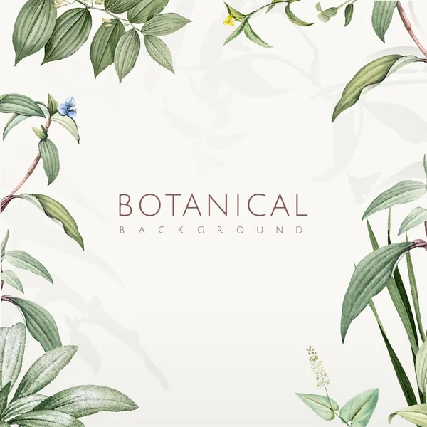 Grüne Botanische Blätter Hintergrunddesign — Stockvektor