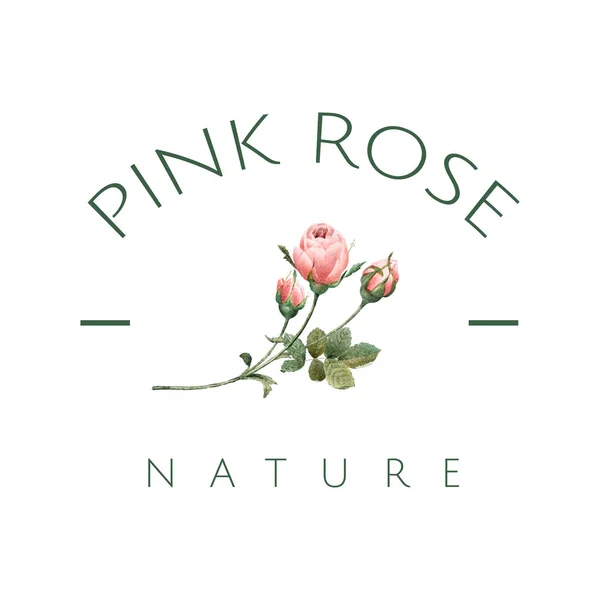 Hand Gezeichnet Rosa Rose Emblem Vektor — Stockvektor