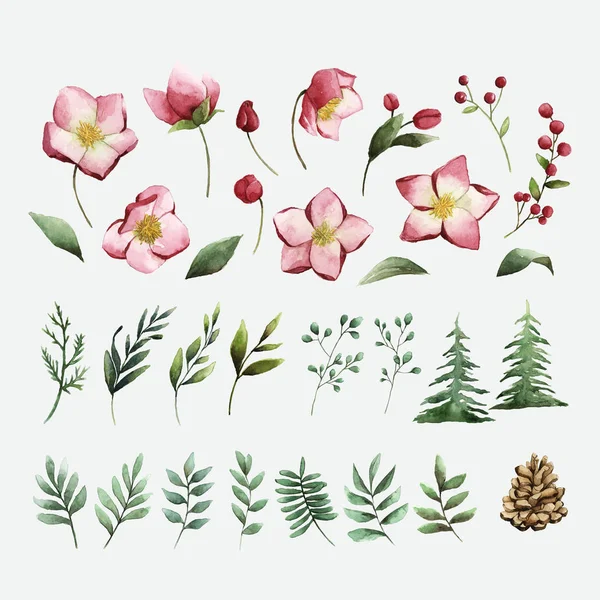 Ακουαρέλα Σετ Χειμερινά Λουλούδια Και Φύλλα Διάνυσμα — Διανυσματικό Αρχείο