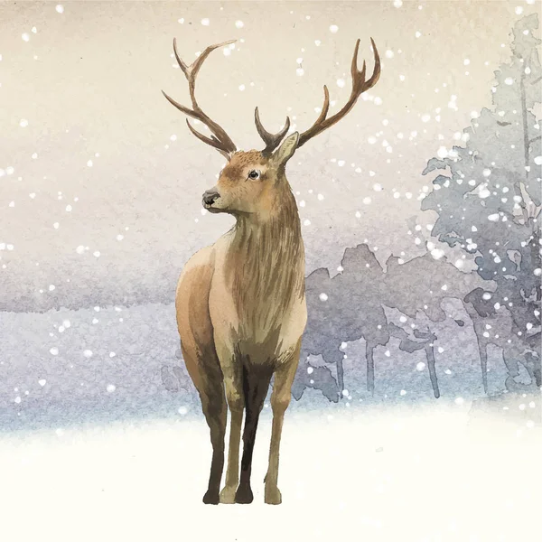 Cerf Mâle Peint Par Vecteur Aquarelle — Image vectorielle