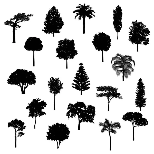 Illustration Conception Divers Arbres — Image vectorielle