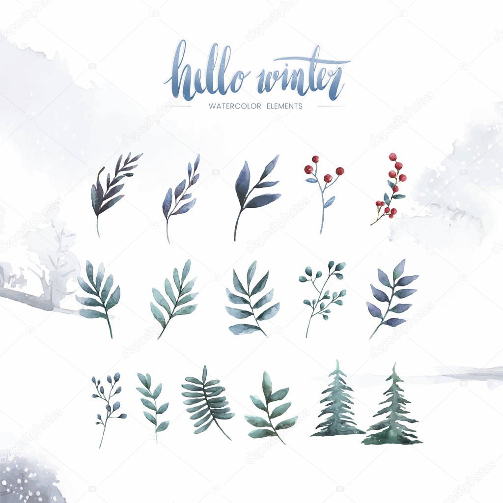 Watercolor set of winter flowers and leaves vector 