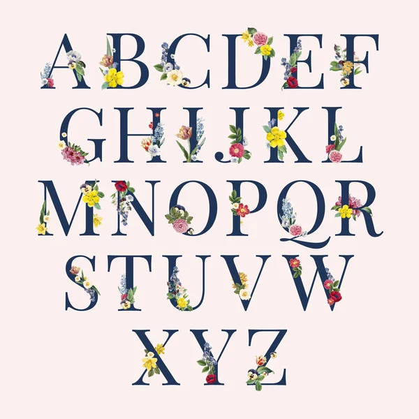 알파벳 — 스톡 사진
