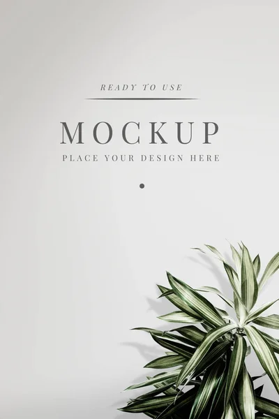 Dracaena Grijze Kaart Mockup — Stockfoto