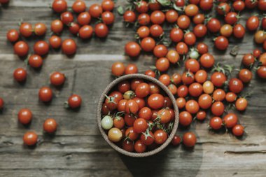 Taze organik kırmızı kiraz domates