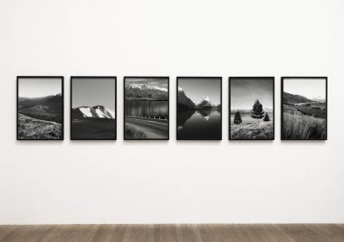 Bir duvara doğal sanat eserleri koleksiyonu