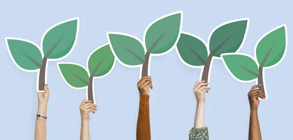 Hands holding plant leaves clipart