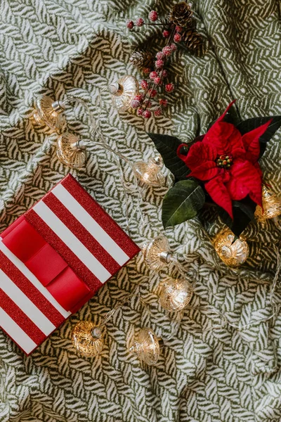 Christmas Themed Gift Box Poinsettia — Stock Photo, Image