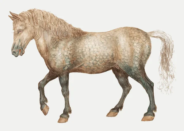 Концепція Ілюстрації Старовинного Коня — стокове фото