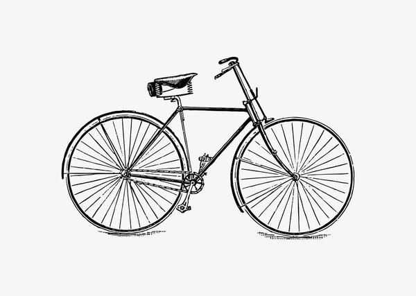 Vintage bicycle engraving vector