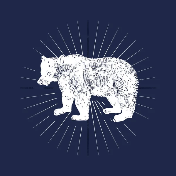 Urso Grande Ilustração Emblema Vetor —  Vetores de Stock