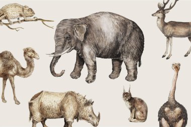 Vintage safari hayvanlar seti 