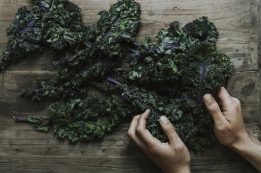 Closeup taze yeşil lahana