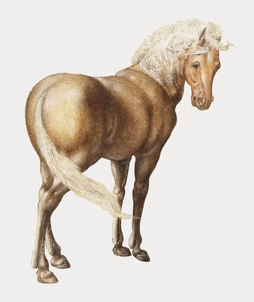 Concepto Ilustración Caballo Vintage — Foto de Stock