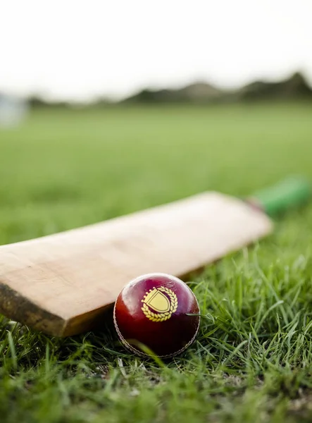 クリケットのバットと緑の草の上にボール — ストック写真