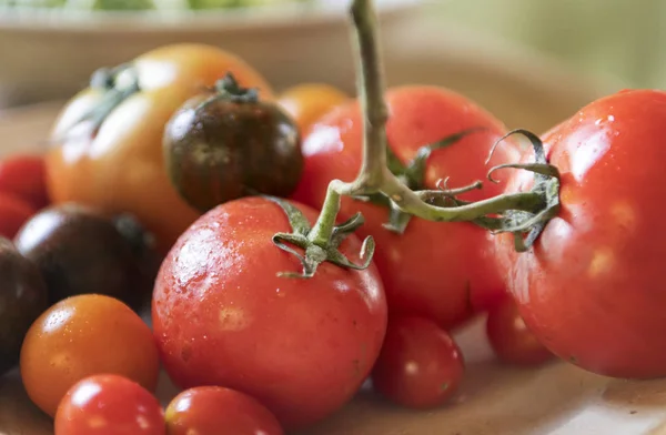 Fresh Types Organic Tomatoes Kitchen — Stock Photo, Image