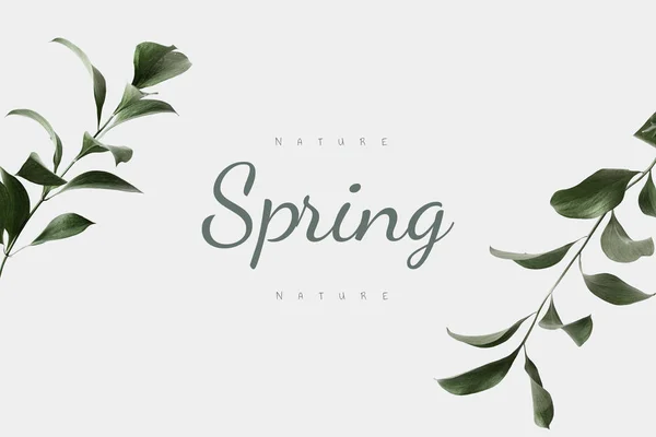 Frühlingsgefühle Hintergrund Mit Laub — Stockfoto