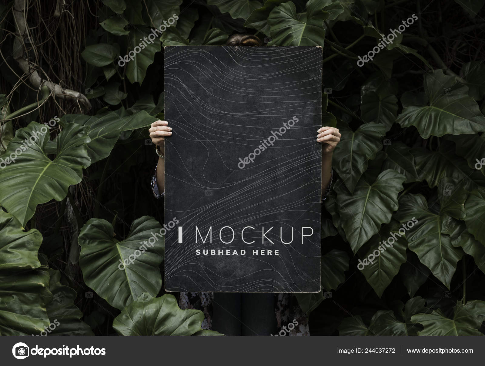 Download Female Tropical Background Holding Signboard Mockup Stock Photo Image By C Rawpixel 244037272