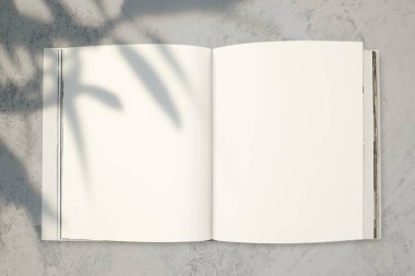 Bir boşluk ile dergi mockup