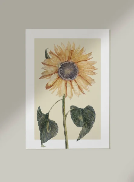 Bemalte Sonnenblume Einem Rahmen Der Wand — Stockfoto