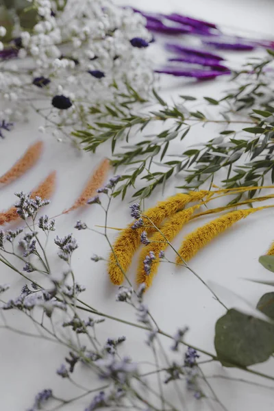Различные Сушеные Цветы Белом Фоне — стоковое фото