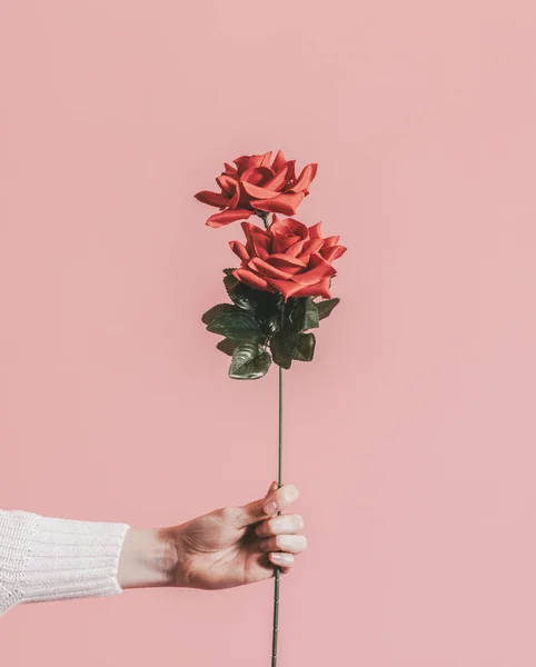 Hermosa Rosa Roja Para San Valentín — Foto de Stock