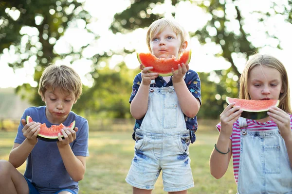 夏にスイカを食べる子供たち — ストック写真