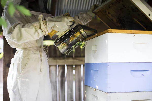 Imkerin Mit Ihren Bienenstöcken — Stockfoto