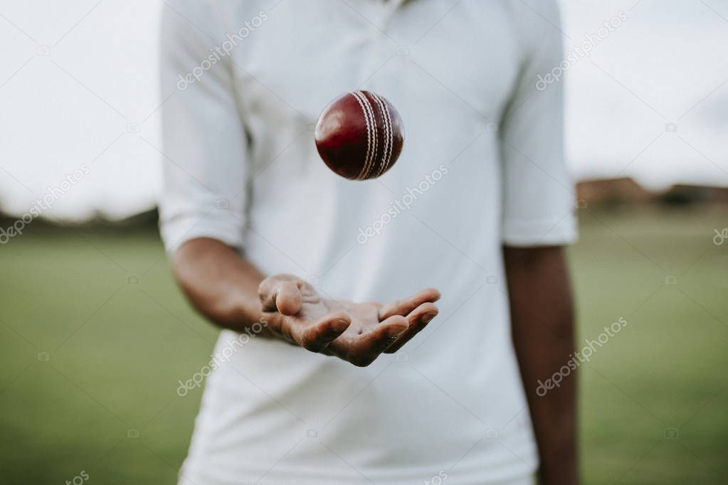 Cricket player ready to throw the ball